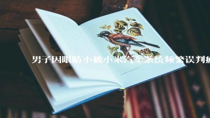 男子因眼睛小被小米汽车系统频繁误判疲劳驾驶，一路提醒20多次，这是智能汽车通病吗？怎么解决该 bug？