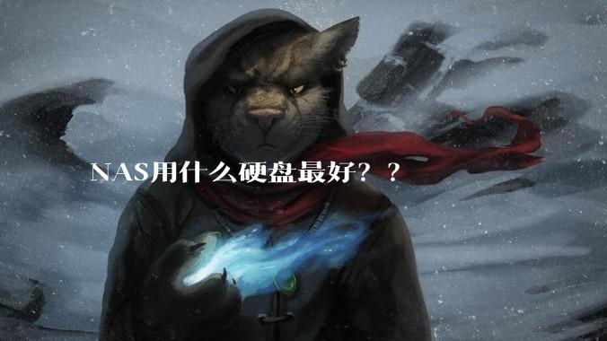 NAS用什么硬盘最好？？