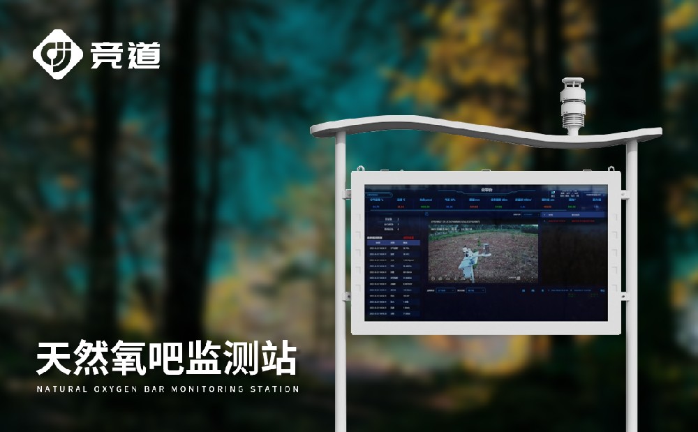 公园负氧离子设备厂家推荐山东竞道光电