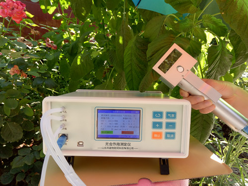 植物气孔针有何应用？