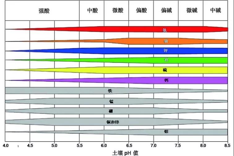 土壤PH速测仪，快速测PH